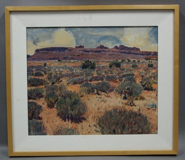 Desert landscape with mountains in background.