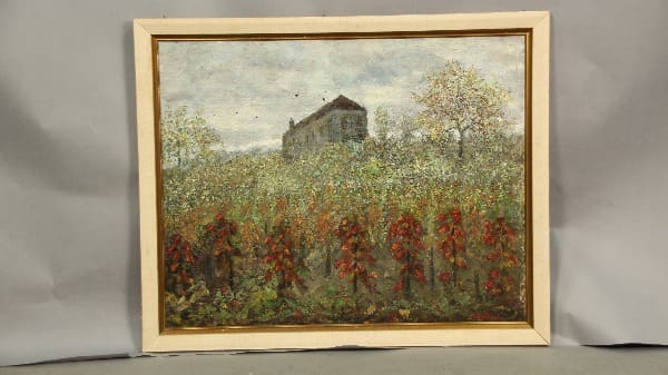 Rural landscape with house and flowering plants.